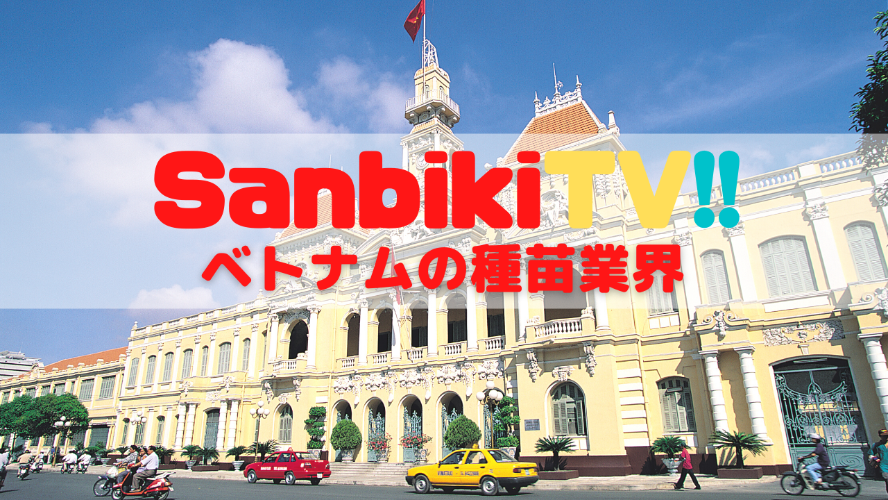 SanbikiTV!! ベトナムの種苗業界