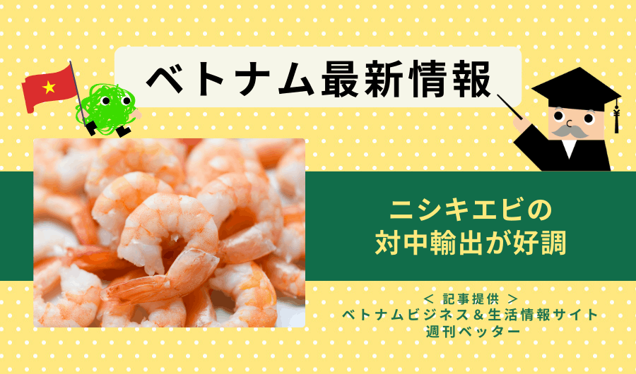 ベトナム最新情報　ニシキエビの対中輸出が好調