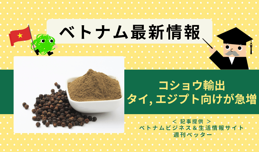 ベトナム最新情報　コショウ輸出、タイ, エジプト向けが急増