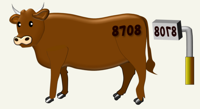 「ブランド」の始まり：牛の「焼き印」