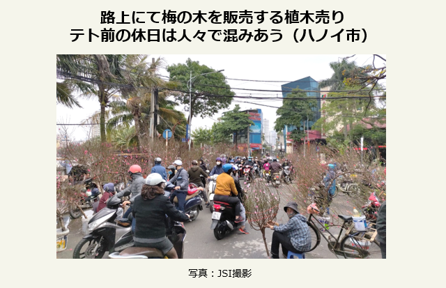 路上にて梅の木を販売する植木売り。テト前の休日は人々で混みあう(ハノイ市)